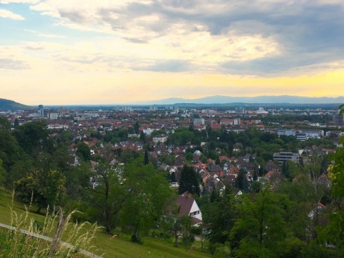 Freiburg im Breisgau