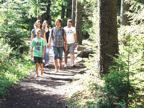 Barfuß-Park in Dornstetten-Hallwangen