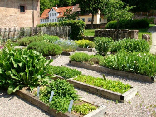 Kräutergarten Hirsau