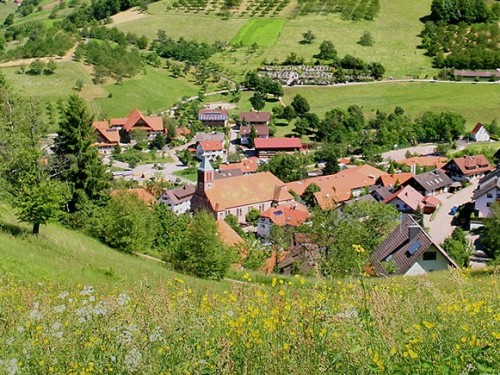 seebach.jpg