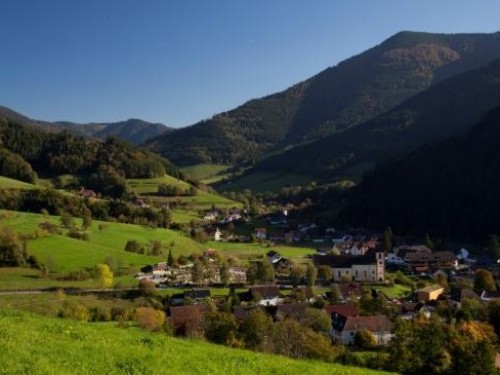 Simonswald.jpg