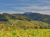 Glottertal