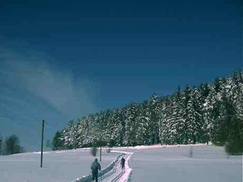 Hotel Landgasthof zum Schwanen