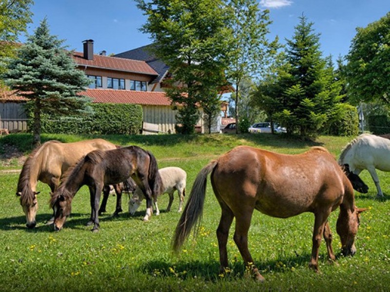 Hotel Landgasthof zum Schwanen