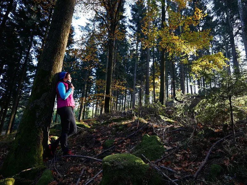 crop__290167_t1__1920.webp