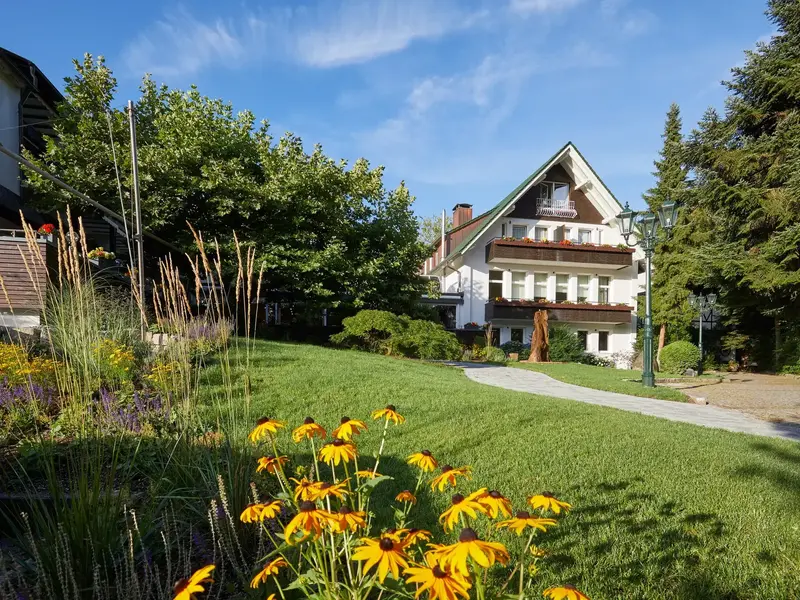 crop__290334_t1__1920.webp