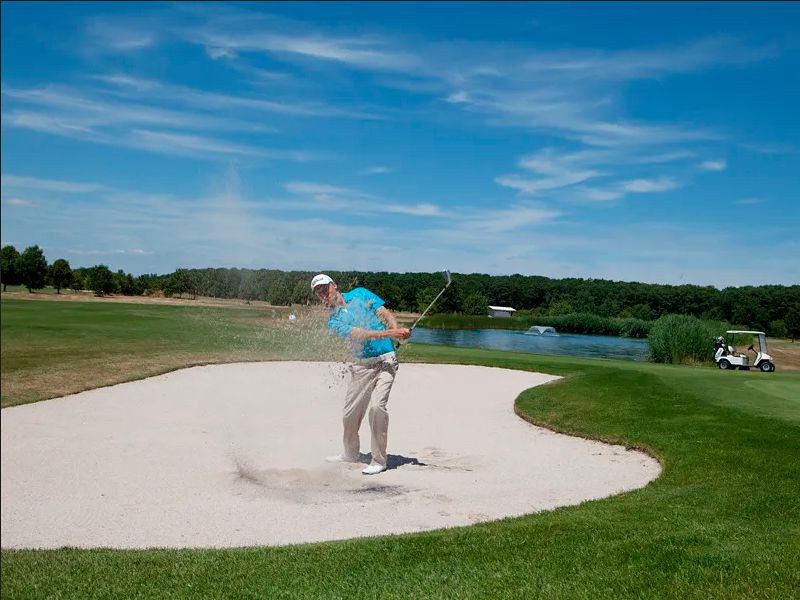 wh-gruener-baum-golf-sand-abschlag-900x600.jpg