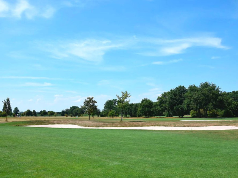 wh-gruener-baum-golfplatz.jpg