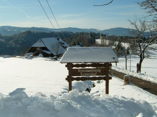 winter.jpg
