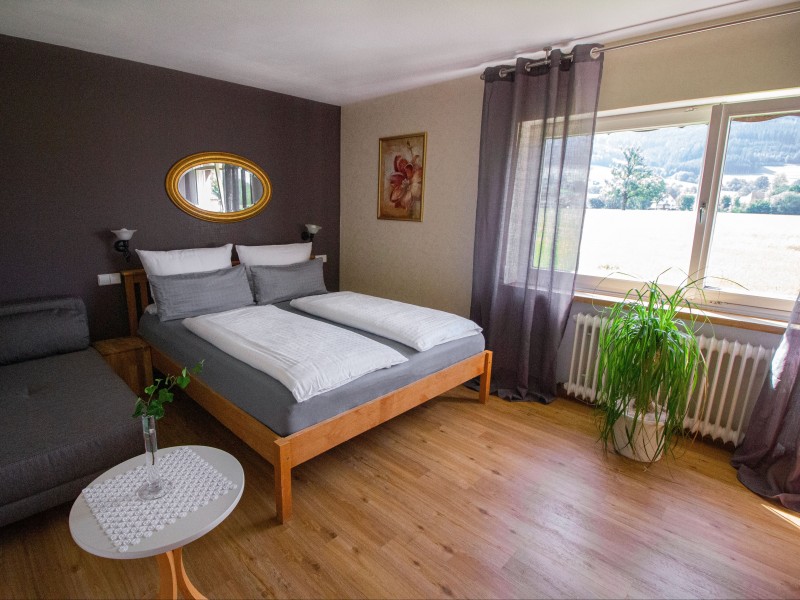 Pension am Rain mit Hallenbad