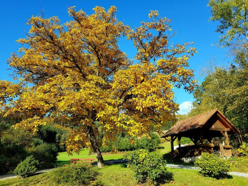 Ignazhof, Ferienwohnungen Himmelsbach