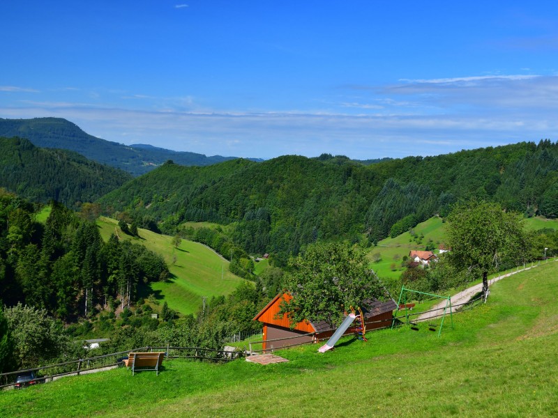 Ferienhaus - Ferienwohnungen Müllerbauernhof