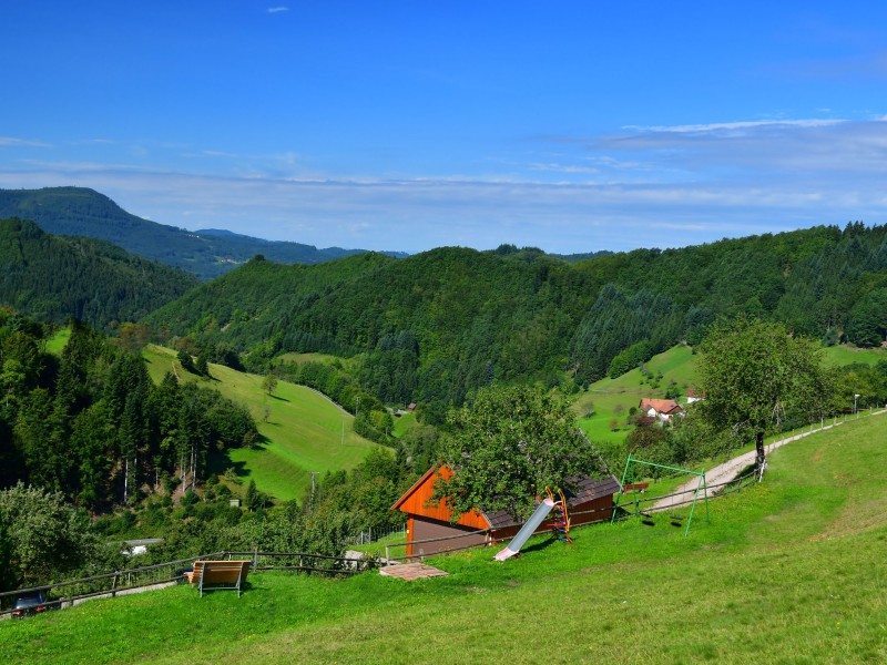 Ferienhaus - Ferienwohnungen Müllerbauernhof
