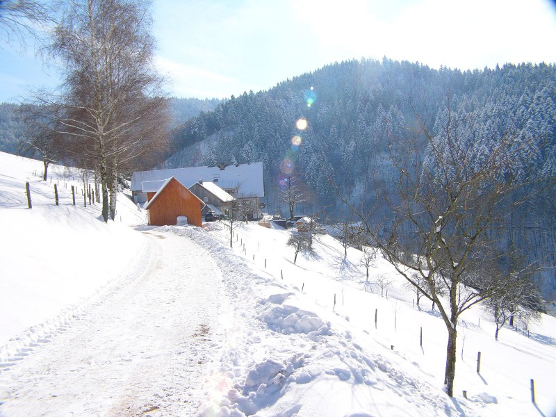 Ferienhaus - Ferienwohnungen Müllerbauernhof