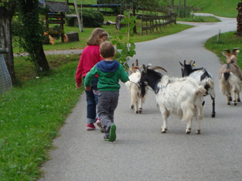 Ferienwohnungen Klausseppenhof