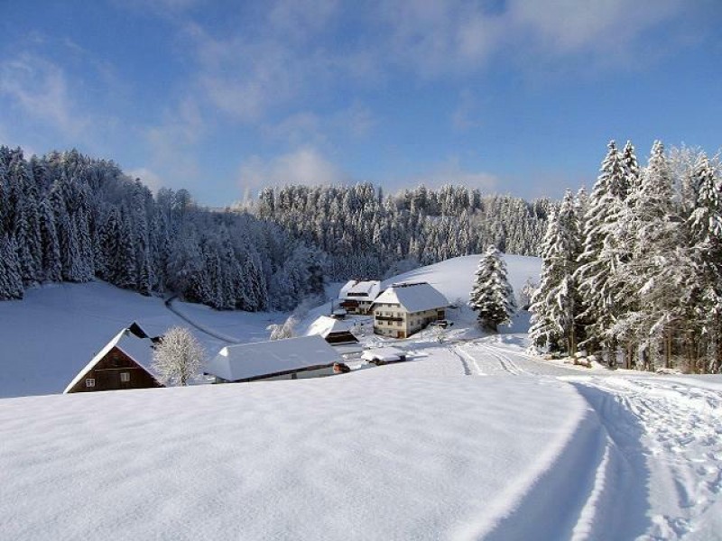 Schreinerhäusle - Ihr familienfreundlicher Urlaubsbauernhof