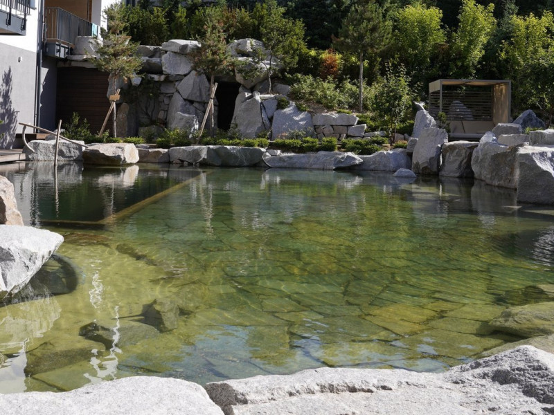 Naturteich.jpg