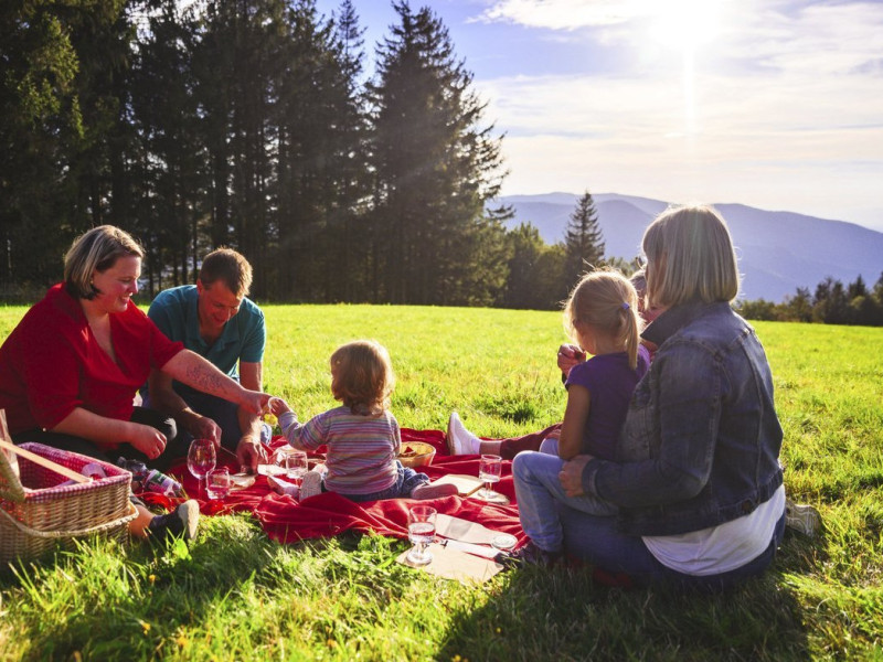 Picknick_mit_Familie.jpg
