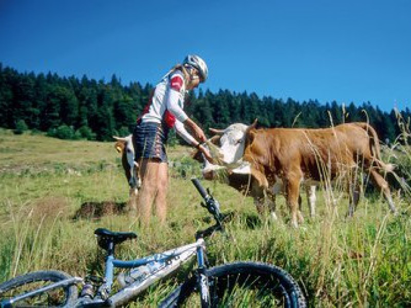 Radtour4.jpg
