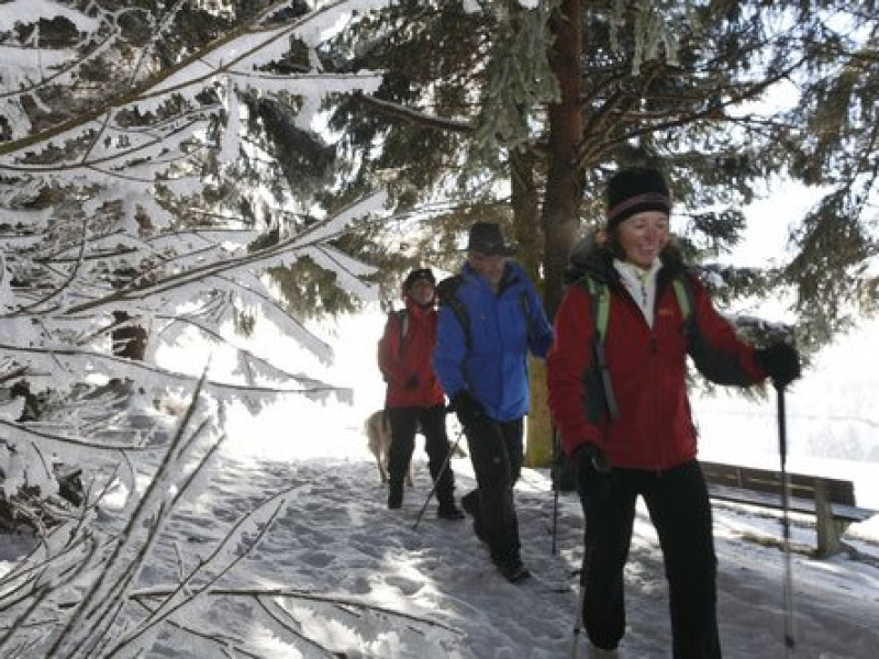 csm_winterwandern-mit-der-familie_e9217e1156.jpg