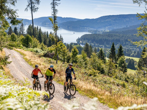 Wellnesshotel Waldhotel am Notschreipass / auf 1121m