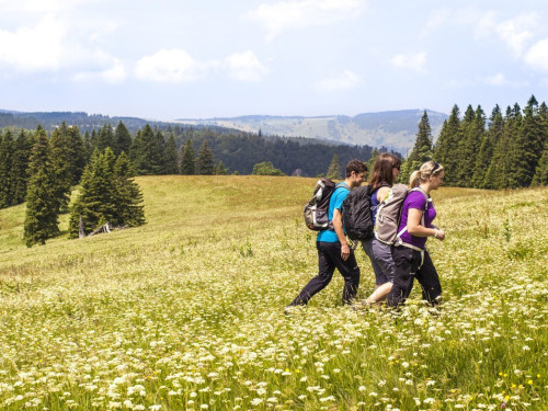 Wellnesshotel Waldhotel am Notschreipass / auf 1121m