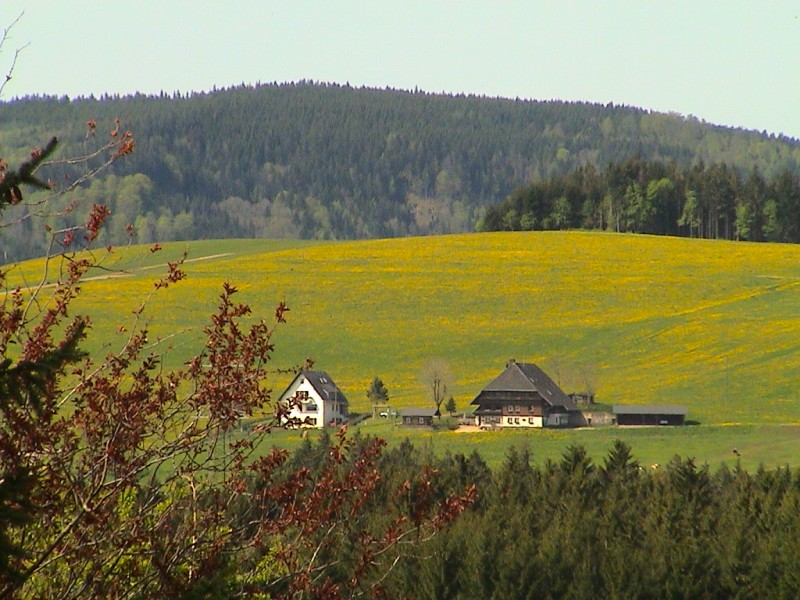 Ferienwohnung Schuhhof, Franz & Elisabeth Helmle