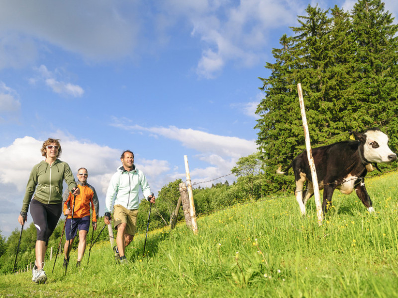 Fruehling-Sommer.jpg