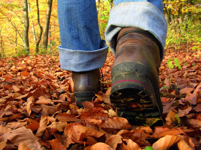 Herbst.jpg