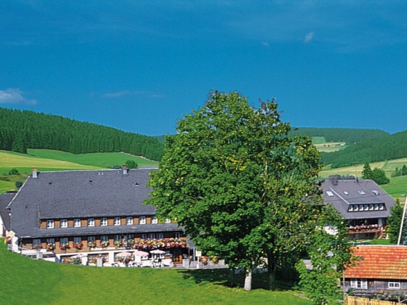 schwarzwaldgasthof-hotel-zum-loewen.jpg