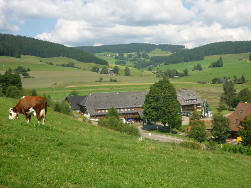 Schwarzwaldgasthof Löwen