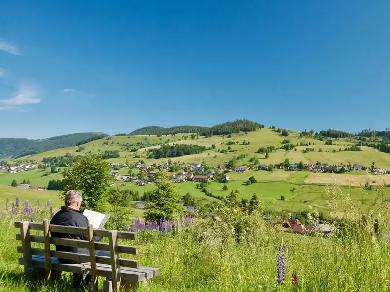 Landgasthof-Hotel BERGBLICK