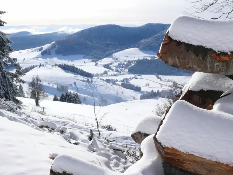 Winter_Ausblick.webp