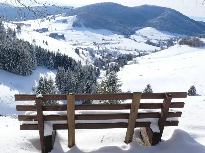 Winter_Ausblick_mit_Bank.webp