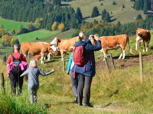 Familien Angebot
