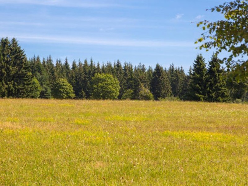 Ferienwohnungen im Luisenhof