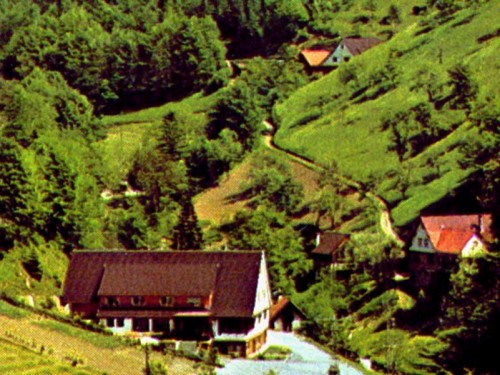 maierhof.jpg