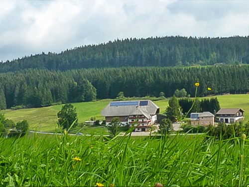 stalterhof-bauernhof-schwarzwald.jpg