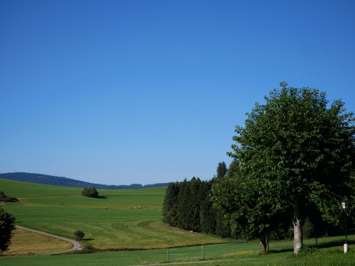 Feriengasthof Löwen