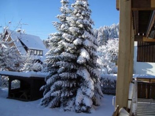 winter_5.jpg