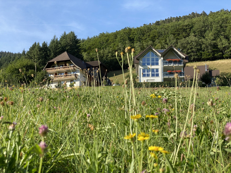 Hansmichelhof