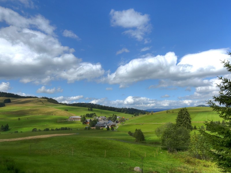 derWaldfrieden naturparkhotel