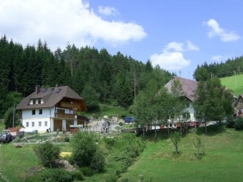 Hinterhauensteinhof