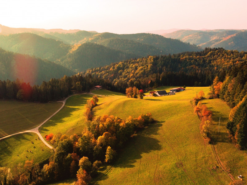 Hansjörgenhof | Bioland-Bauernhof in traumhafter Kulisse im Schwarzwald