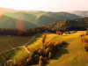 Hansjörgenhof | Bioland-Bauernhof in traumhafter Kulisse im Schwarzwald