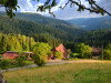 Hansjörgenhof | Bioland-Bauernhof in traumhafter Kulisse im Schwarzwald