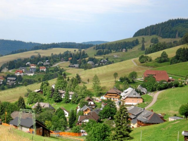Bühlhof in Todtnauberg