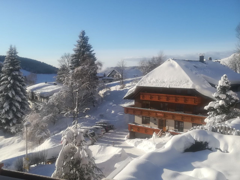Bühlhof in Todtnauberg