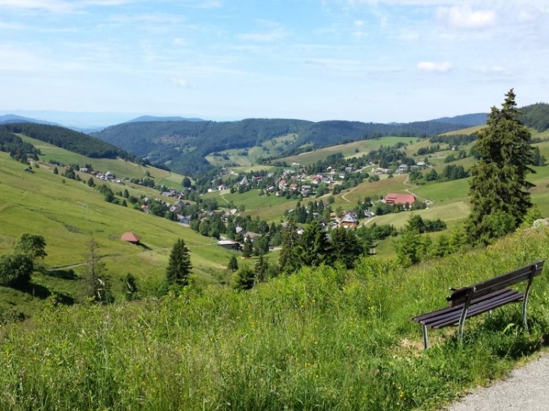 Bühlhof in Todtnauberg