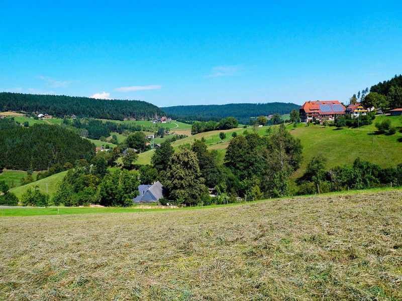 Bio - Fleigenhof